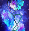 rafi_lee